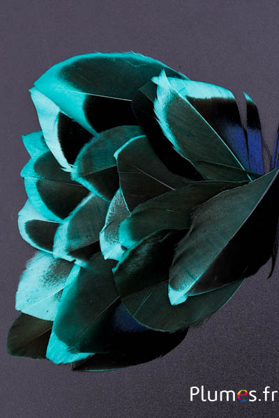 Pétales en plumes - 5-8 x 3-4 cm - jade-noir